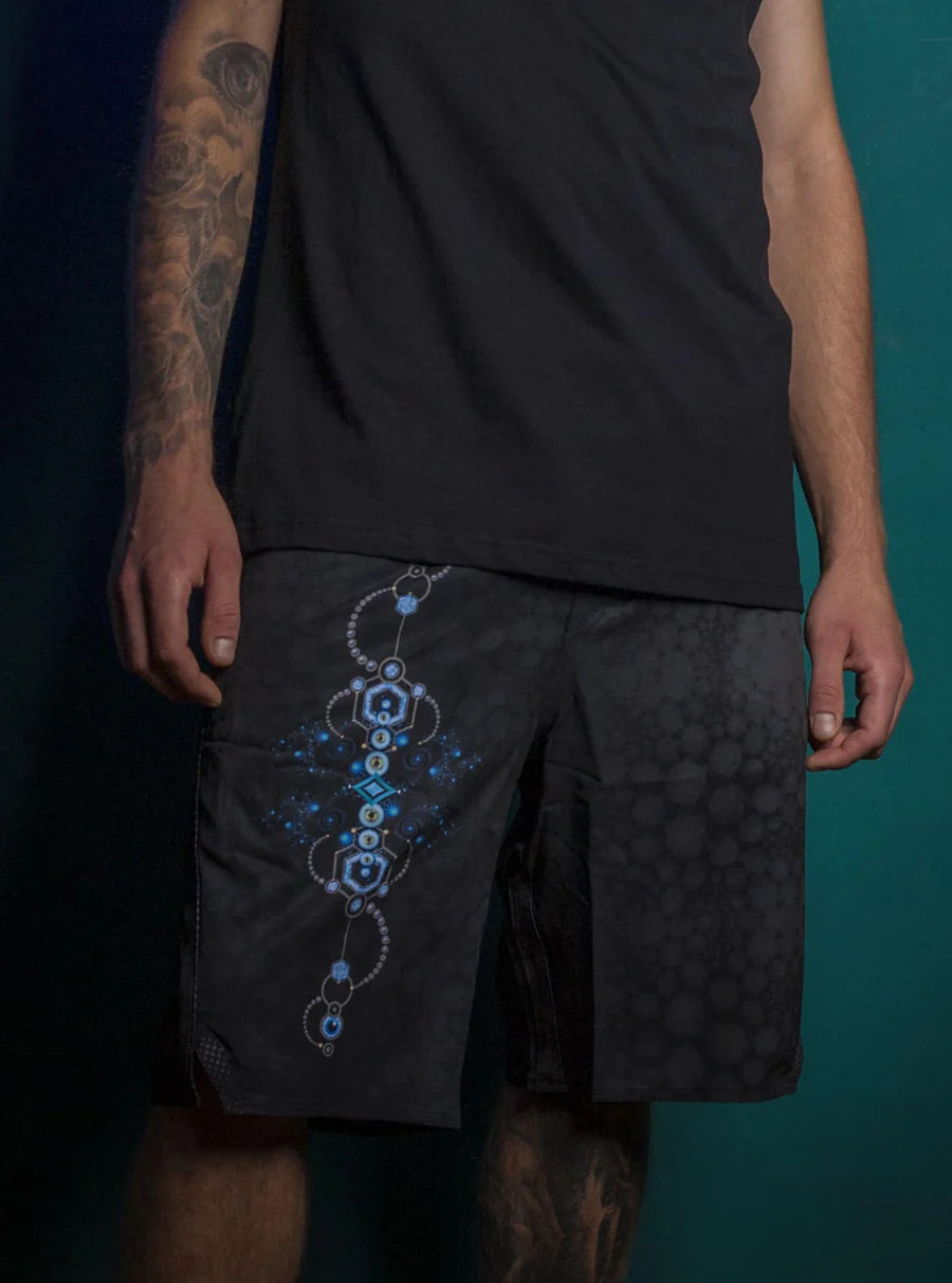 Board Shorts - PENDULUM