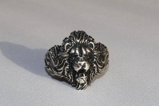 Ring - Roar of Power